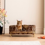 Bed for animals