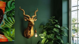 Wandlampen